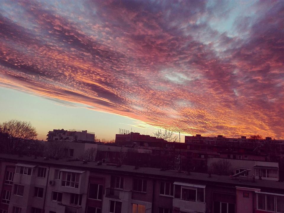 Снимка: Стела Маринова