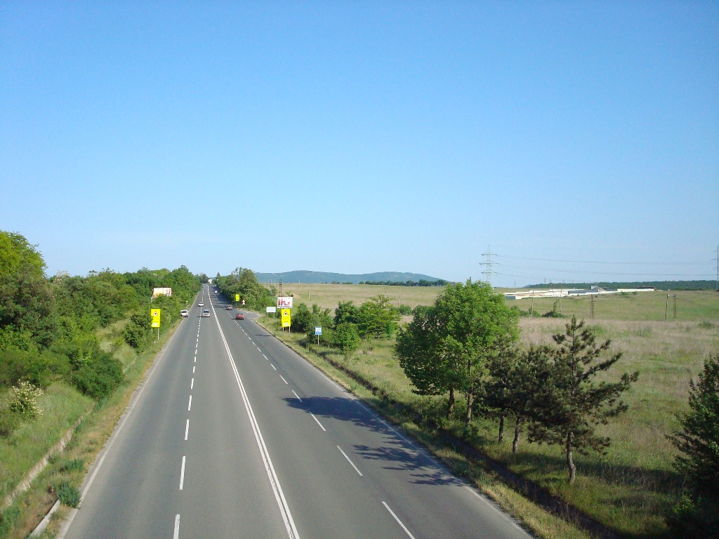 gallery_file_1243205607