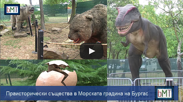 Уникална изложба на метри от морето! Динозаври, мамути и гигантски птици в Морската градина на Бургас (ВИДЕО)