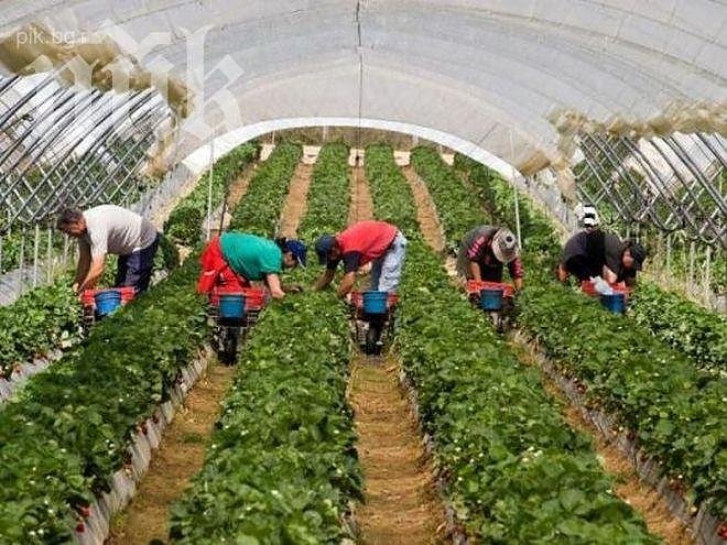 Агенцията по заетостта набира кандидати за работа в страни от Европейския съюз