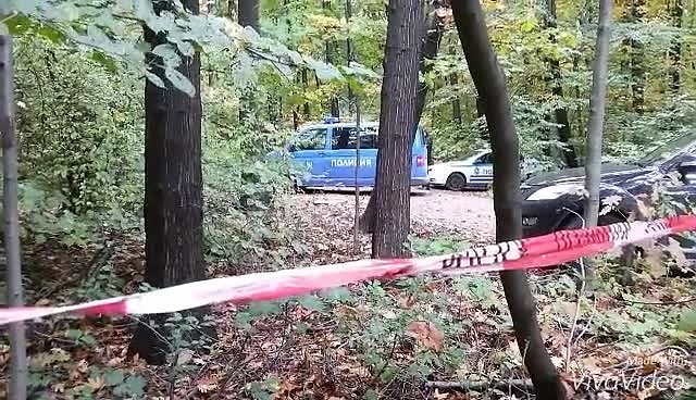 Трагичен инцидент край Ахтопол! Дърво уби 15-годишно момче, извършвал незаконна сеч