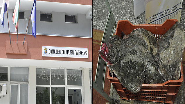 Похвално! Близо 400 килограма конфискуван от бракониери калкан отива при социално слаби бургазлии