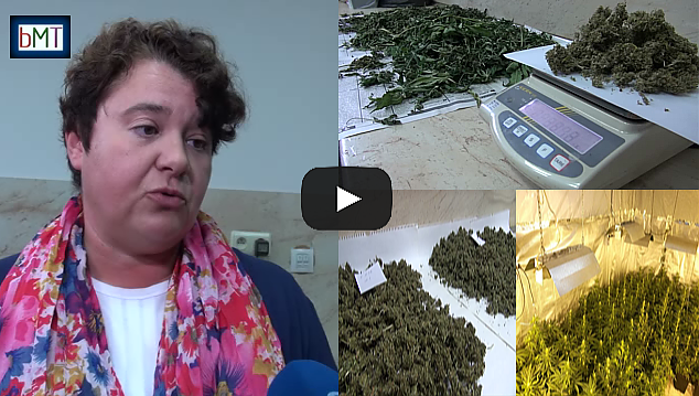 Рекорден удар! Бургаската полиция залови над 40 кг марихуана, вижте най-голямата \