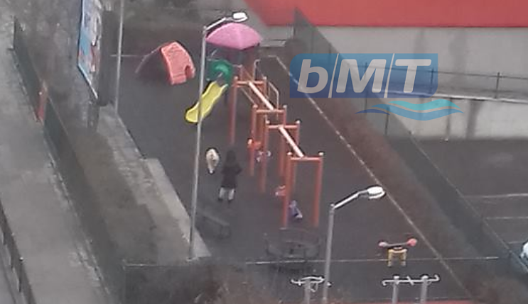 Бургазлии скочиха срещу жена, която всяка сутрин си разхожда кучето на детска площадка в ж.к. \