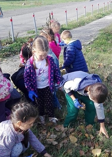 Похвално! Малчуганите от „Крайморие“ сами почистиха есенните листа в двора на детската градина