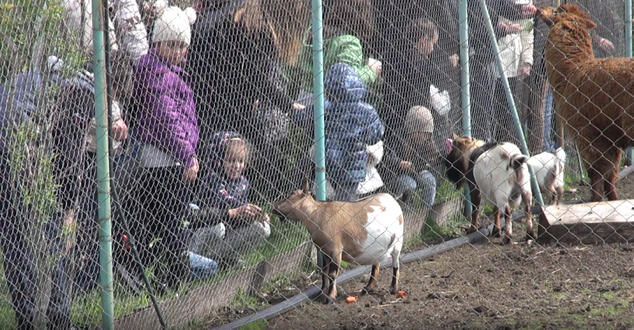 На Никулден: Зоопаркът в Бургас безплатен за всички деца