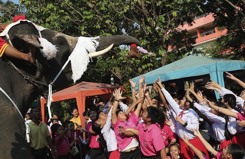 Слонове, облечени като Дядо Коледа, раздават подаръци в Тайланд