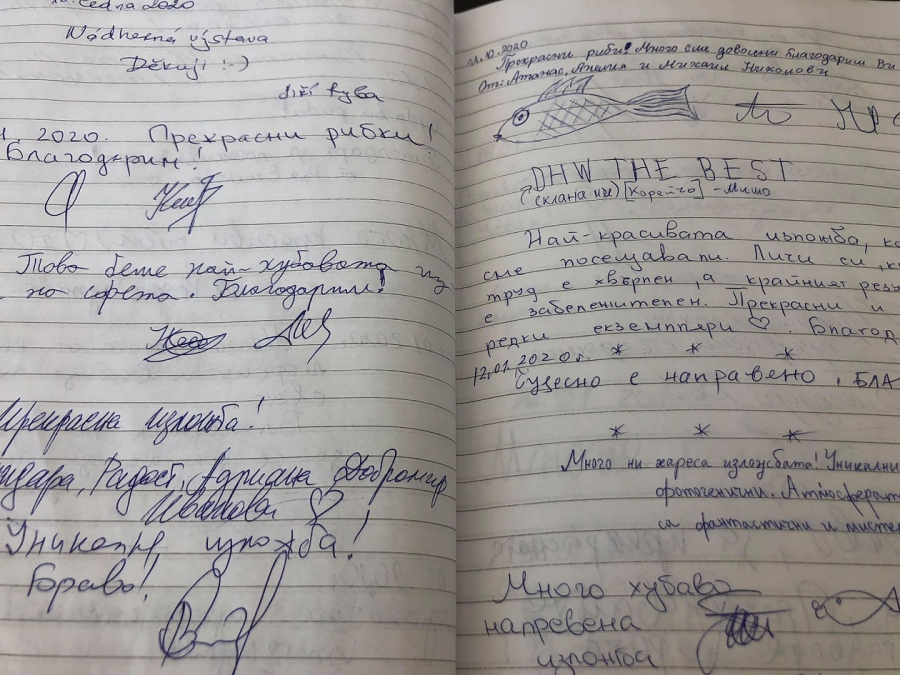 70 страници с 600 отзива изписаха доволни посетители на изложбата „ЗАрибяващо“ в Морското казино