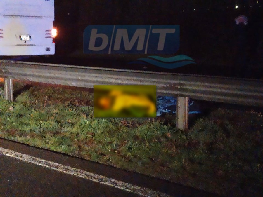 Първи снимки от жестоката катастрофа край Бургас (СНИМКИ 18+)