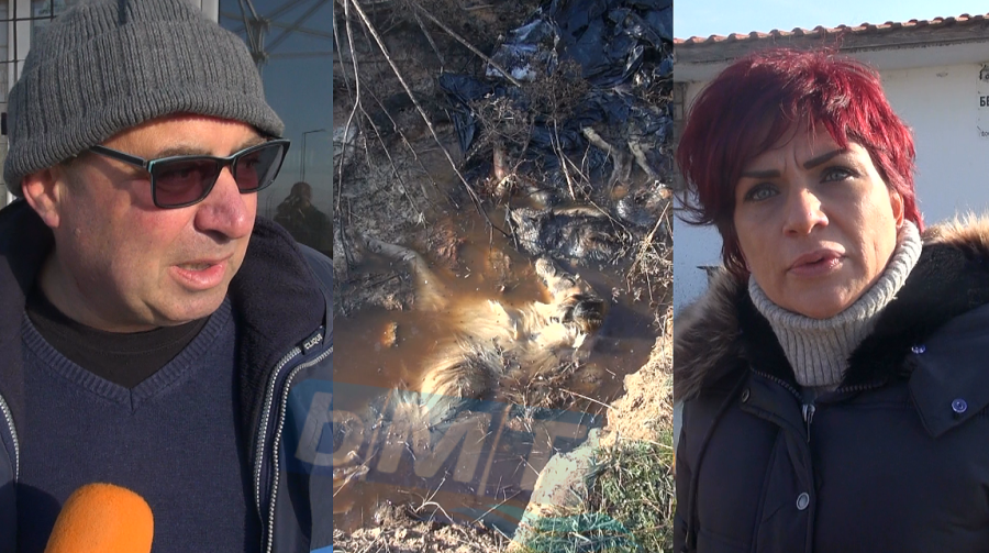 Вижте защо ветеринар преби и умъртви куче с амониева селитра (ВИДЕО)