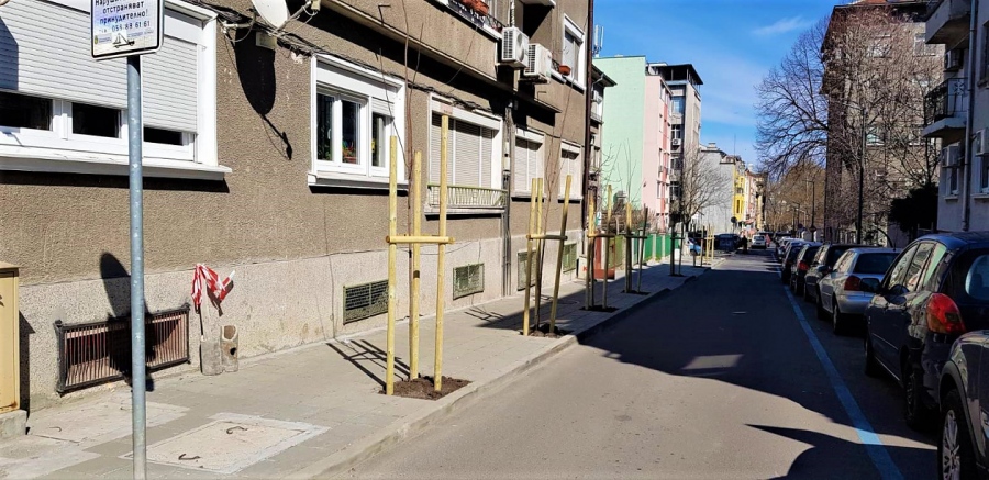 Засадиха нови дървета по няколко улици в Бургас