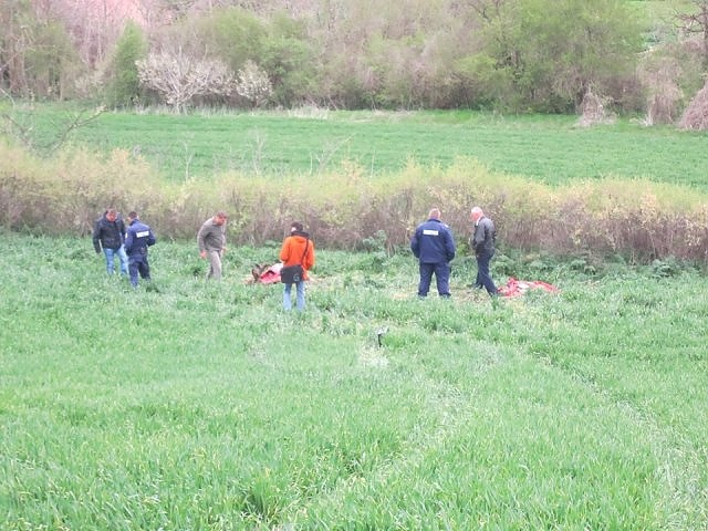 Бракониери са убили три благородни елена край шуменско село