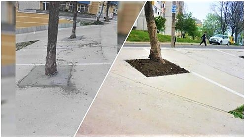 Бетонирани дървета в ж.к „Меден рудник“, ето и развръзката по случая