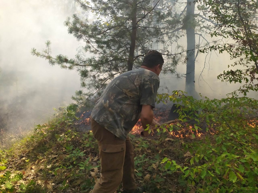 Жесток пожар в гората между селата Вресово и Зайчар, шести час гасят огъня (СНИМКИ)