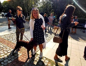 Вижте щастливите кучета от бургаския приют, които намериха своите нови стопани от пръв поглед