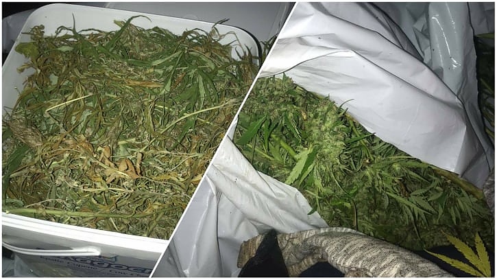 Напушен шофьор натовари колата си с чували марихуана, полицията откри наркооранжерия край Бургас(СНИМКИ)