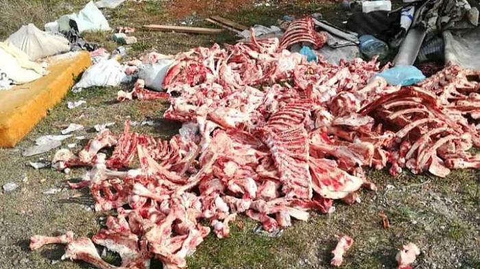 Издирват нарушителите, превърнали Шилото в Бургас в сметище за животински останки