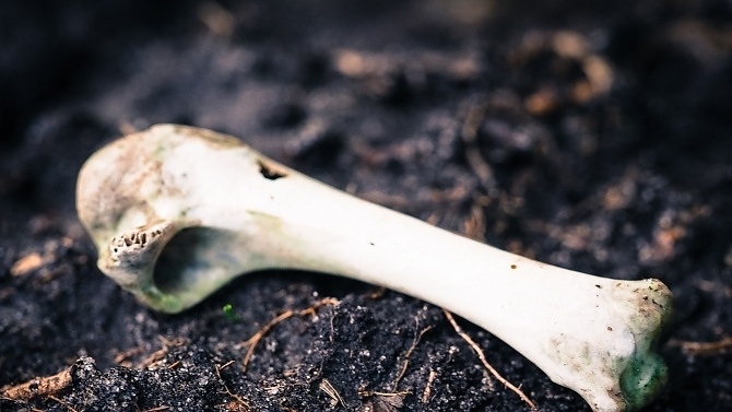 Зловеща находка! Откриха човешки кости в двор в павликенско село