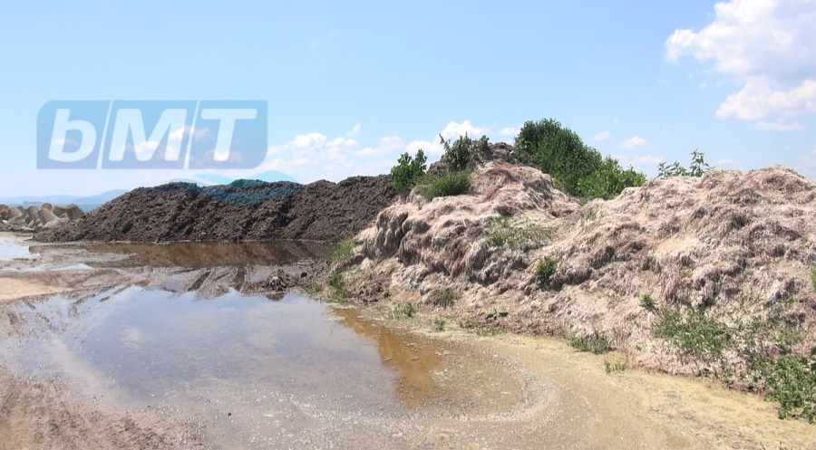 Министерството на туризма проверява плажа в Сарафово заради депонирани водорасли