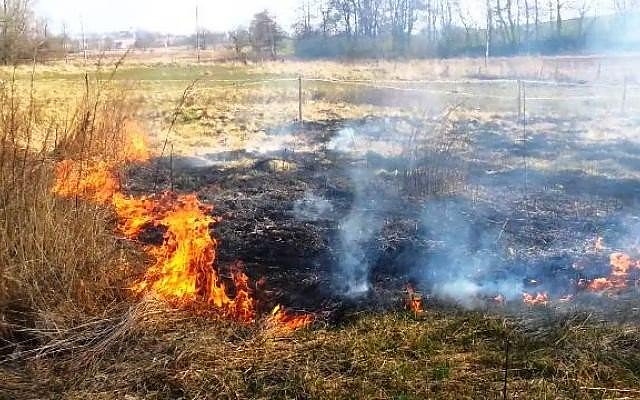 Заради висок риск от пожари: Забраняват се паленето на стърнища