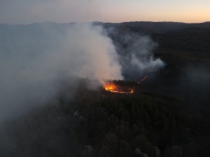 Жестока огнена стихия  в гората край Малко Търново, задържан е мигрант (СНИМКИ + ВИДЕО)