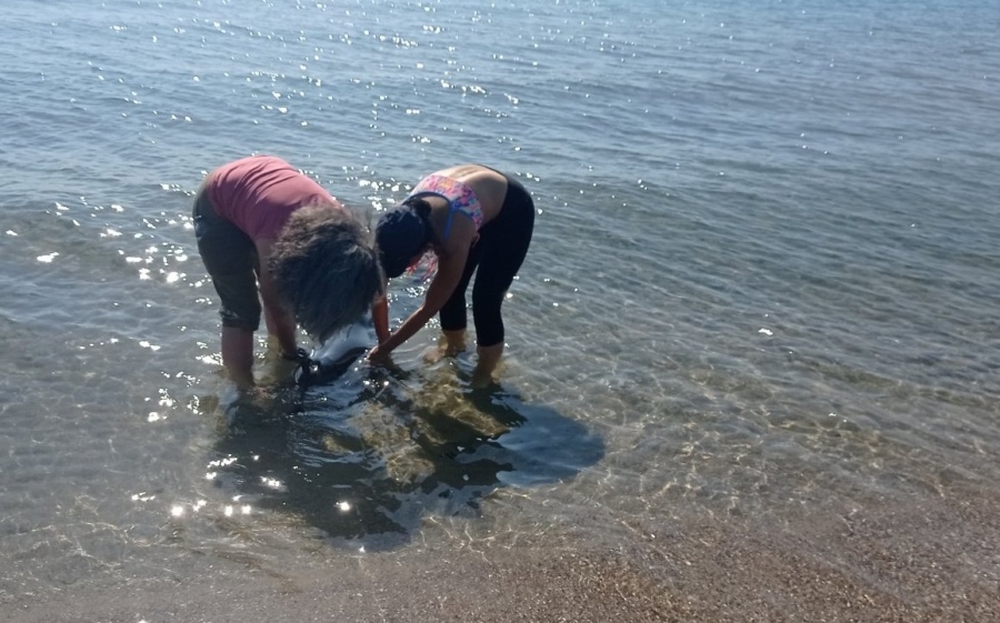 Спасиха делфин, излязал на бургаския плаж 