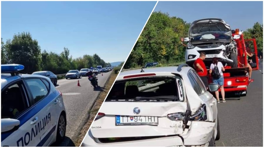 Катастрофа с две коли заради изскочила птица край Пода в Бургас 