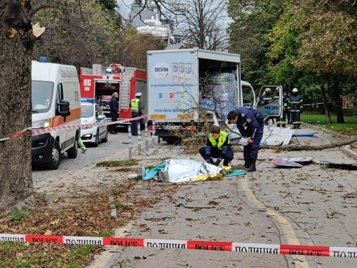 Камион се вряза в спирка на градския транспорт в София, загинало е 19-годишно момиче