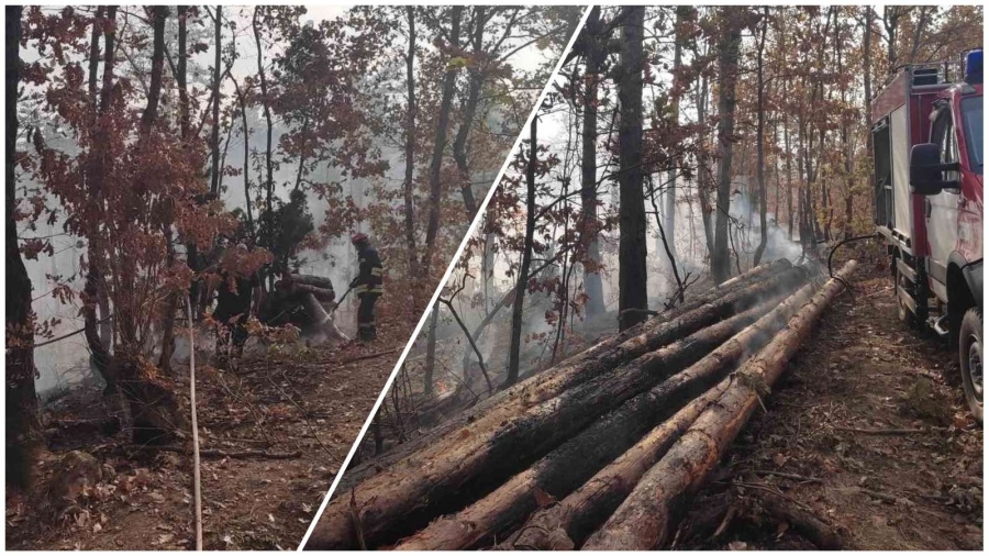 Пожар в гората край Малко Търново, предполага се намесата на мигранти (СНИМКИ)