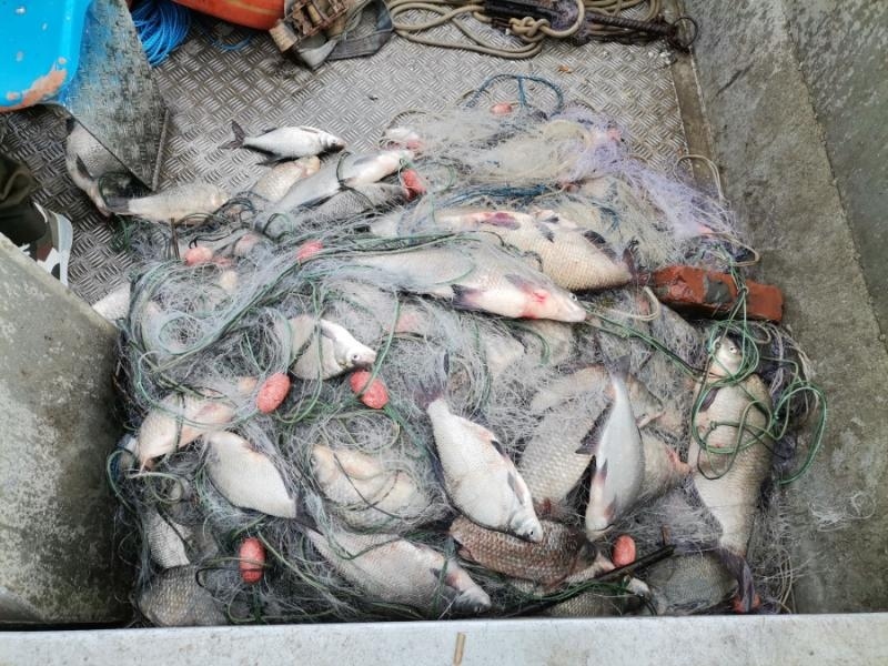 Удар срещу бракониерите в Бургас! Иззеха над 1 км мрежи, укрити лодки и риба 