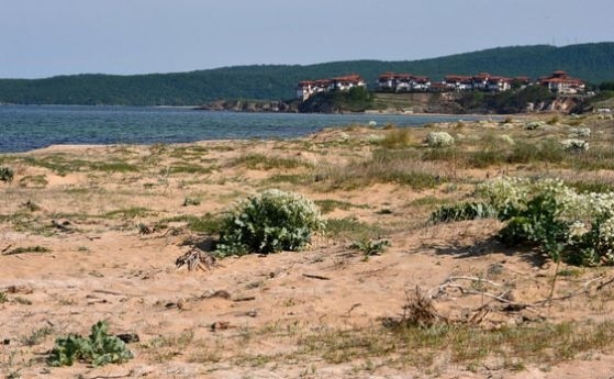 Проблем с картографирането на дюните край Каваци - има разминаване в становищата на учените 