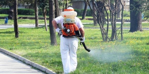 От 4 май до 9 юни пръскат тревните площи срещу кърлежи в Бургас - не влизайте в градинките!