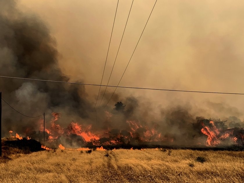 Откриха 18 тела в изгоряла гора в Северна Гърция