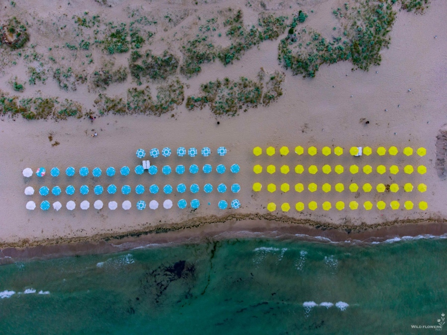 С благотворителен календар се търсят средства за опазване на дюните по Черноморието