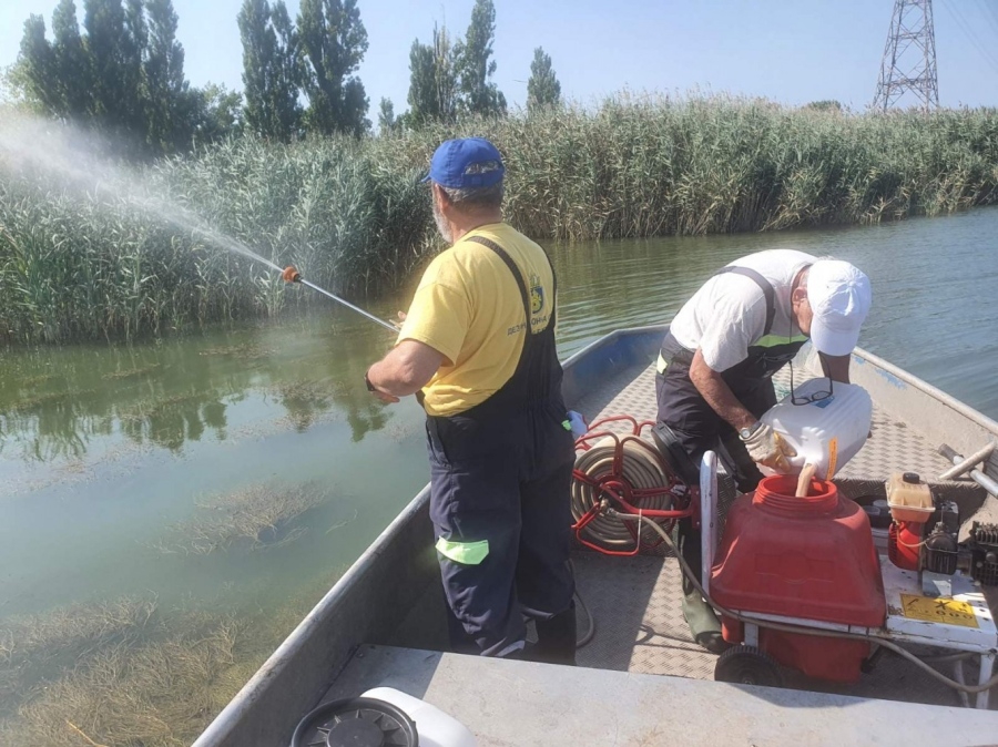 Започва пръскане против ларви на комари в Бургас