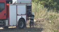 Втори ден гасят голям пожар край село Голямо Буково