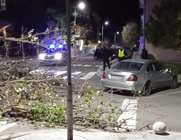 Предупреждение за опасен вятър: Паднали дървета в Царево и Приморско (СНИМКИ)