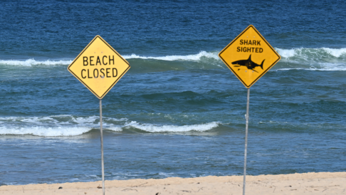 Акула уби жена и рани мъж на австралийски плаж