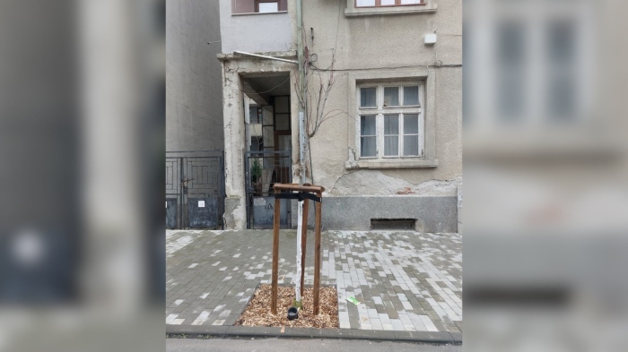 Вандали унищожават новозасадените дръвчета в Бургас (СНИМКИ)