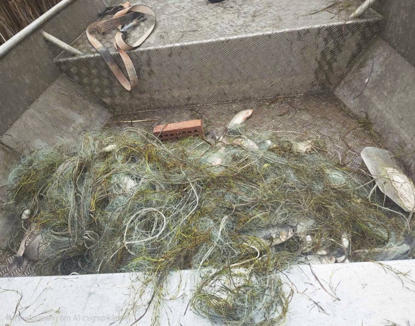 Акция на ИАРА: 600 метра бракониерски мрежи и 65 кг риба открити в езерото „Вая“