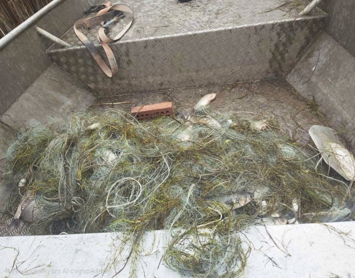 Акция на ИАРА: 600 метра бракониерски мрежи и 65 кг риба открити в езерото „Вая“